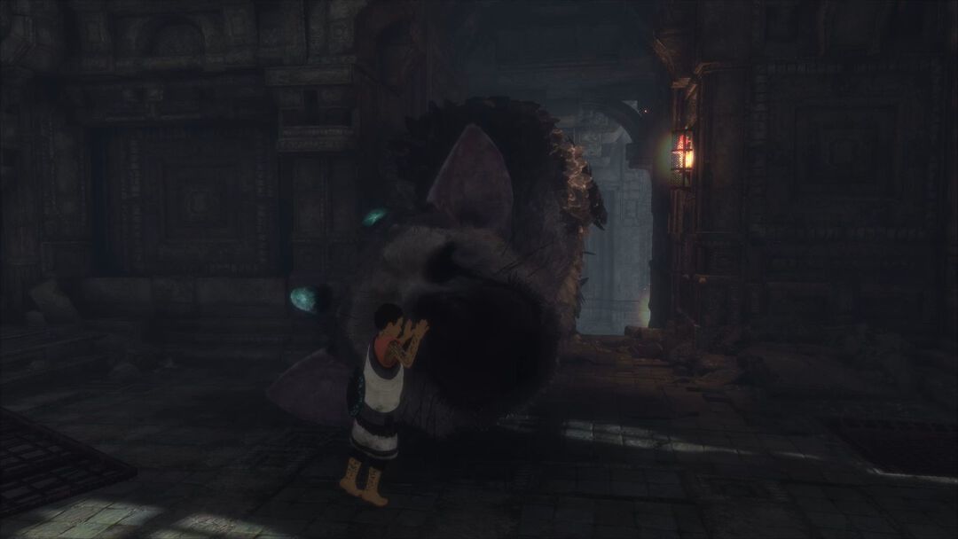 The Last Guardian | Occasion