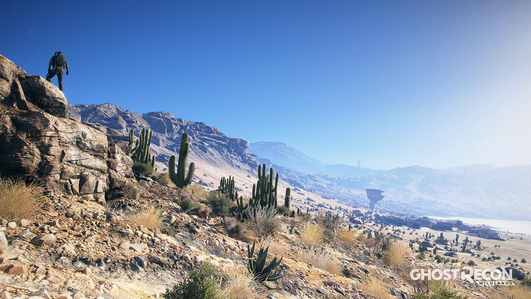 Ghost Recon Wildlands | Occasion