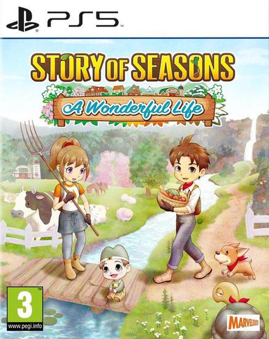 Story Of Seasons A Wonderful Life | Occasion