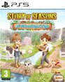 Story Of Seasons A Wonderful Life - Occasion