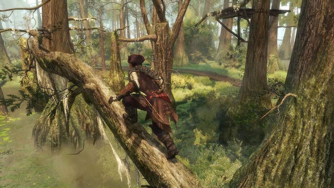 Assassin's Creed 3 + Ac Liberation Remaster | Occasion