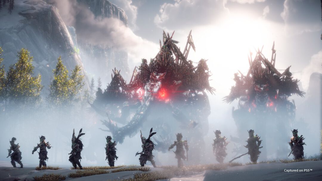 Horizon Forbidden West | Occasion