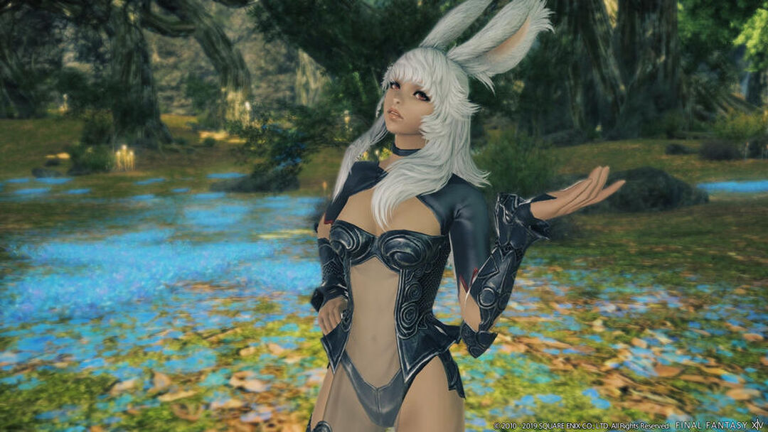 Final Fantasy XIV | Occasion