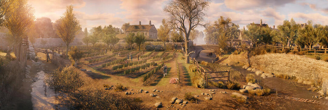 Assassin's Creed Unity | Occasion