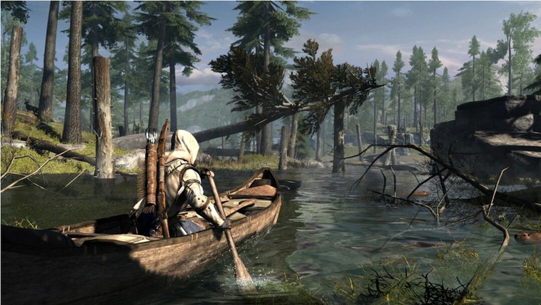 Assassin's Creed 3 | Occasion