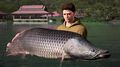 Fishing Sim World Pro Tour Collector's Edition thumb 7