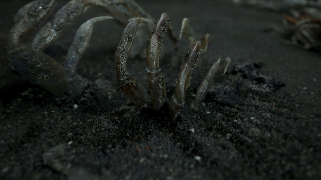 Death Stranding Edition Collector