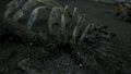 Death Stranding Edition Collector thumb 12
