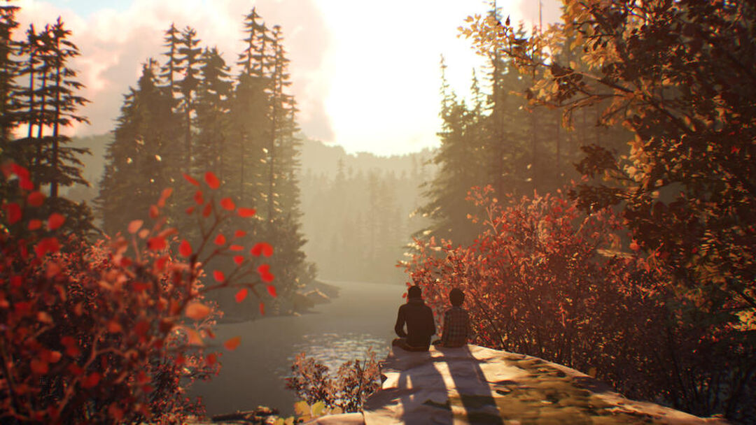 Life Is Strange 2 | Occasion