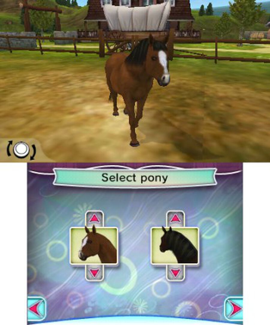 I Love My Pony | Occasion