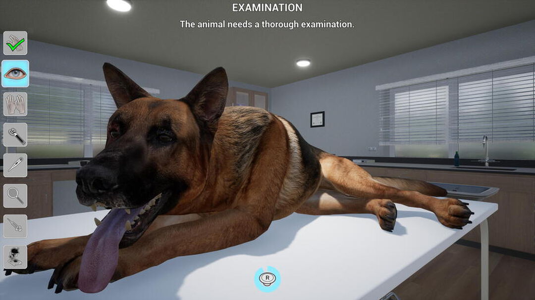 Ma Vie Veterinaire | Occasion