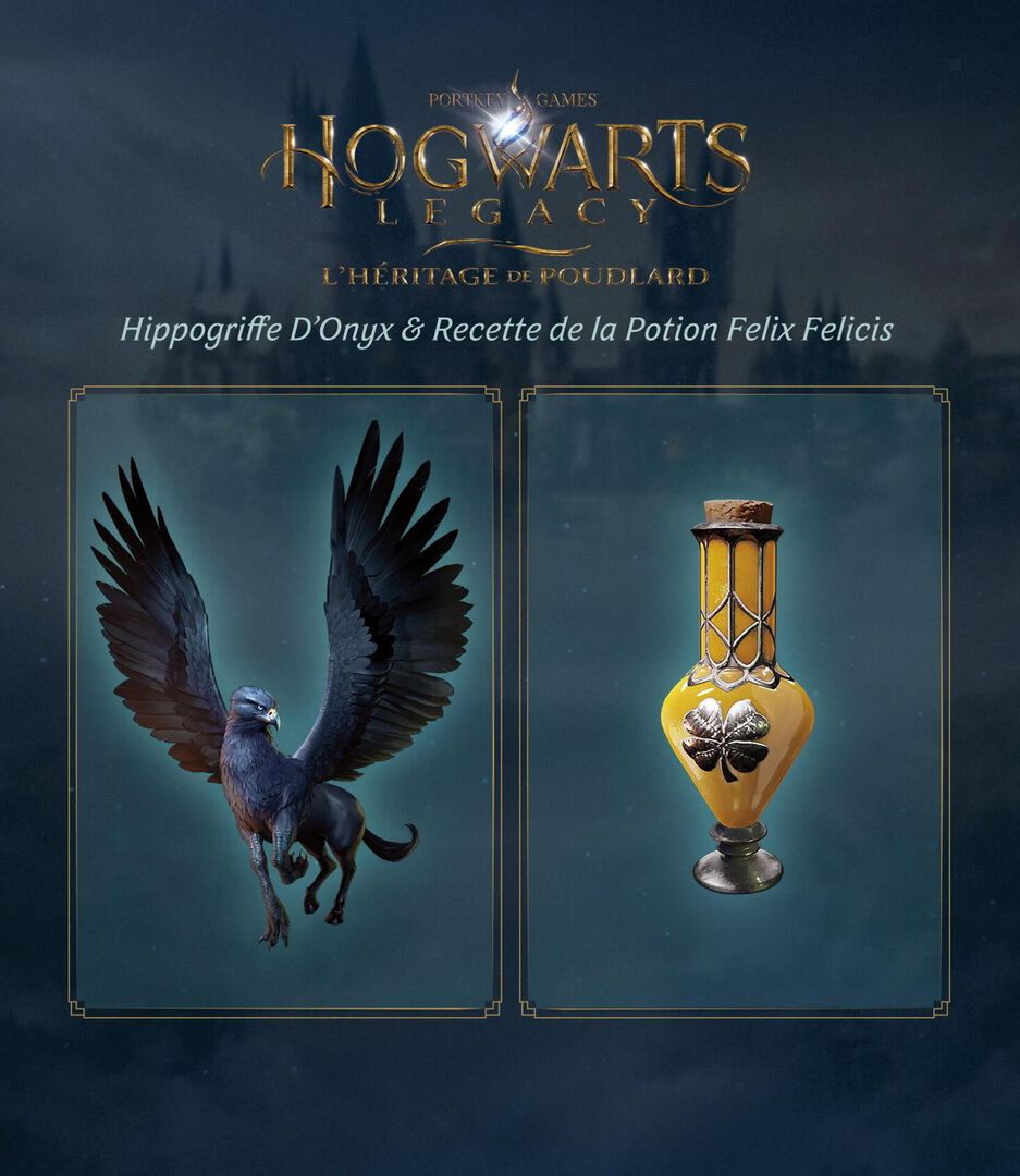 Hogwarts Legacy : L'heritage De Poudlard | Edition Collector