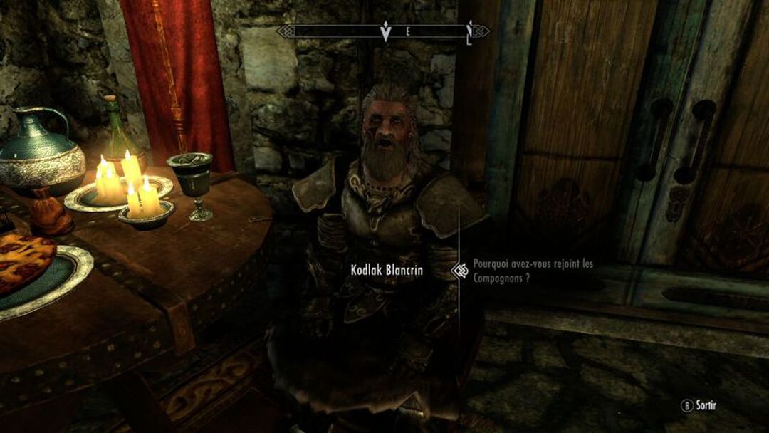 Skyrim The Elder Scrolls V | Occasion