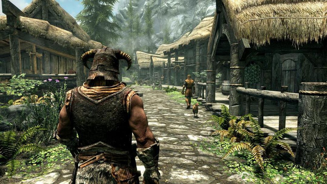 The Elder Scrolls V Skyrim | Occasion