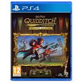 Harry Potter Champions De Quidditch Edition Deluxe | Occasion thumb 0
