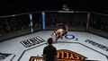 Ufc Undisputed 3 | Occasion thumb 12