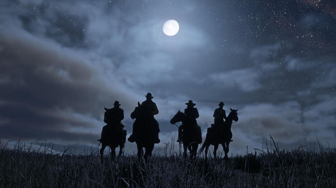 Red Dead Redemption 2 | Occasion