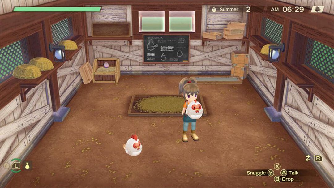 Story Of Seasons A Wonderful Life | Occasion