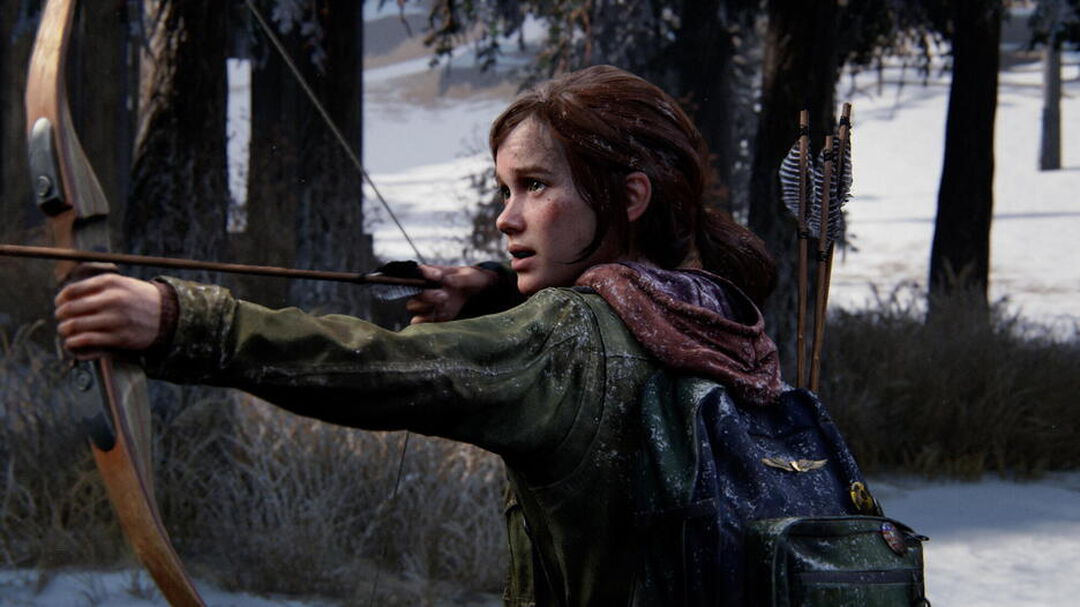 The Last Of Us Part I | Occasion