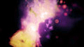Dreams | Occasion thumb 6