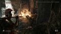 Ryse Son Of Rome | Occasion thumb 5