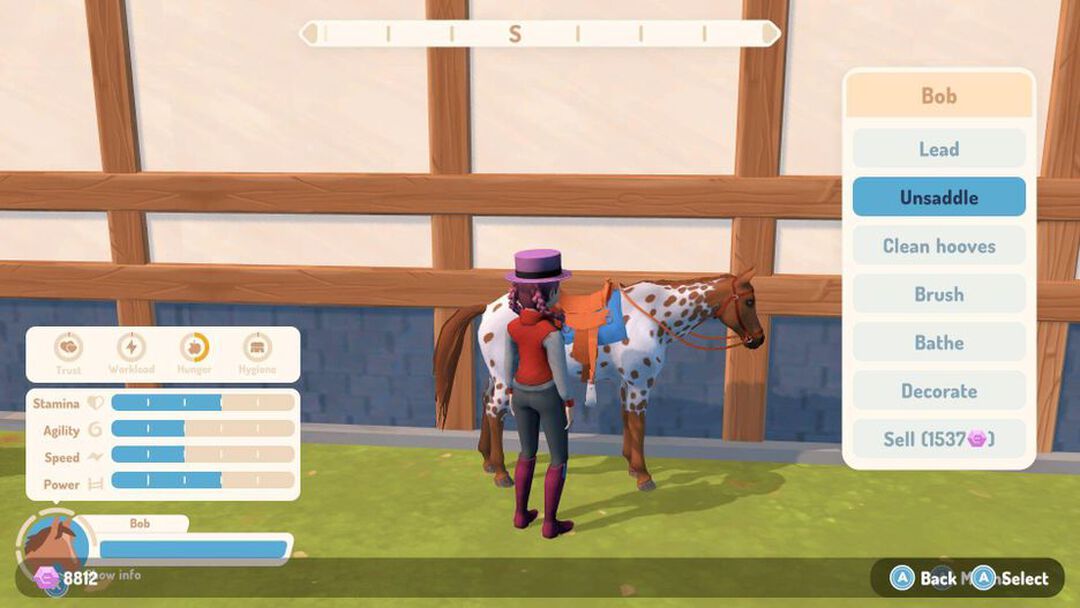 Ma Vie Avec Mes Chevaux 3