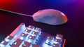 Souris Filaire | Pure Sel | Blanc thumb 12