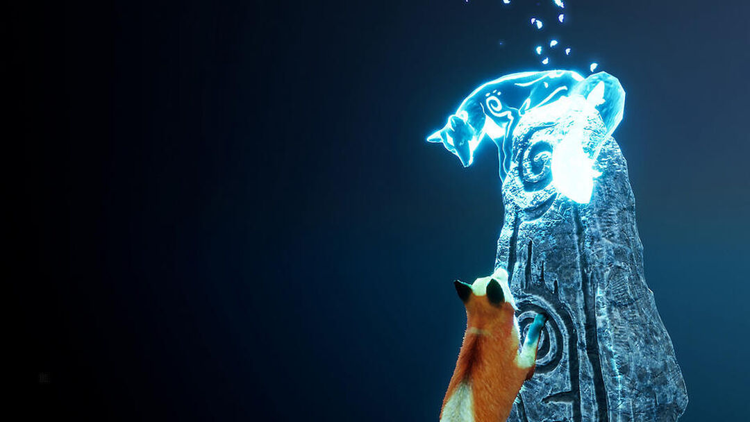 Spirit Of The North | Occasion