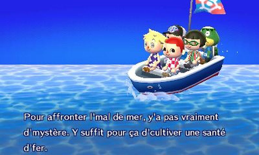 Animal Crossing New Leaf | Occasion
