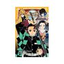 Roman Jeunesse - Demon Slayer - Tome 02