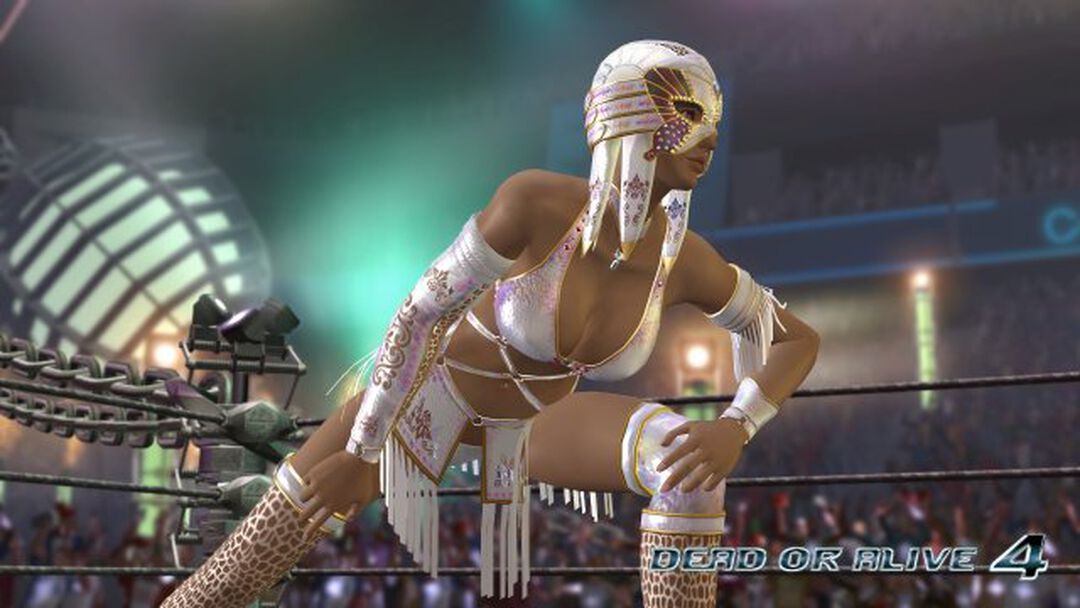 Dead Or Alive 4 | Occasion