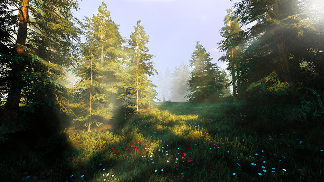 Hunting Simulator 2 | Occasion