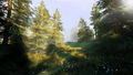 Hunting Simulator 2 | Occasion thumb 3