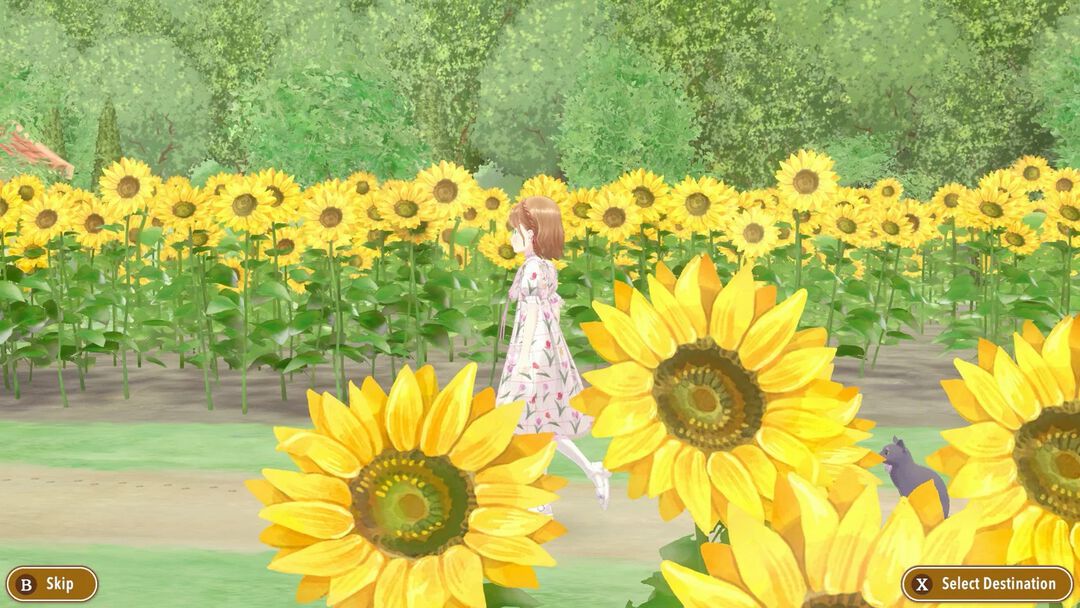 Magical Craft My Enchanted Dress Shop