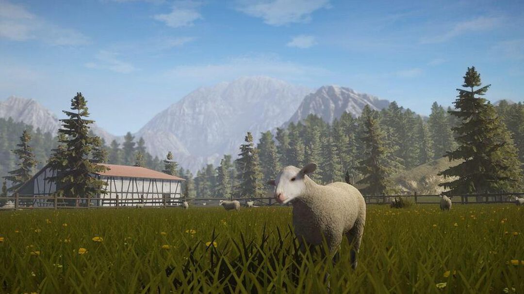 Pure Farming | Occasion