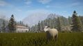 Pure Farming | Occasion thumb 0