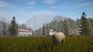 Pure Farming - Occasion