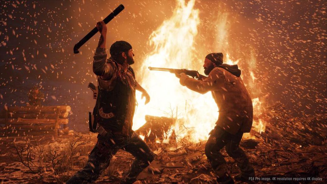 Days Gone | Occasion