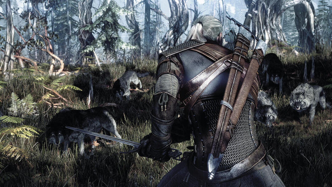 The Witcher 3 Wild Hunt