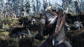 The Witcher 3 Wild Hunt thumb 2