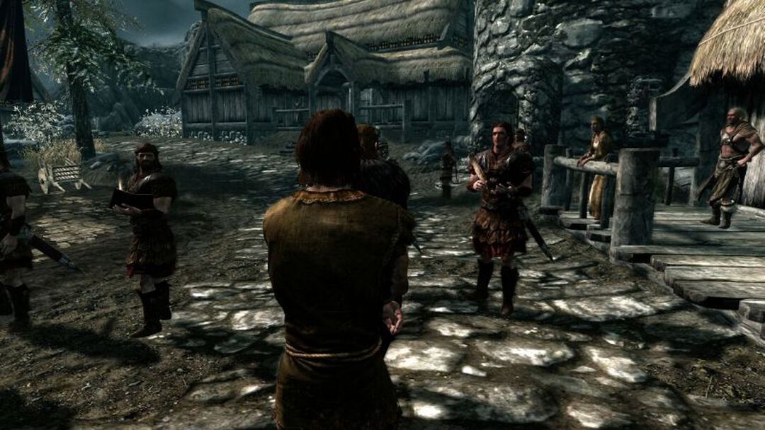 Skyrim The Elder Scrolls V | Occasion