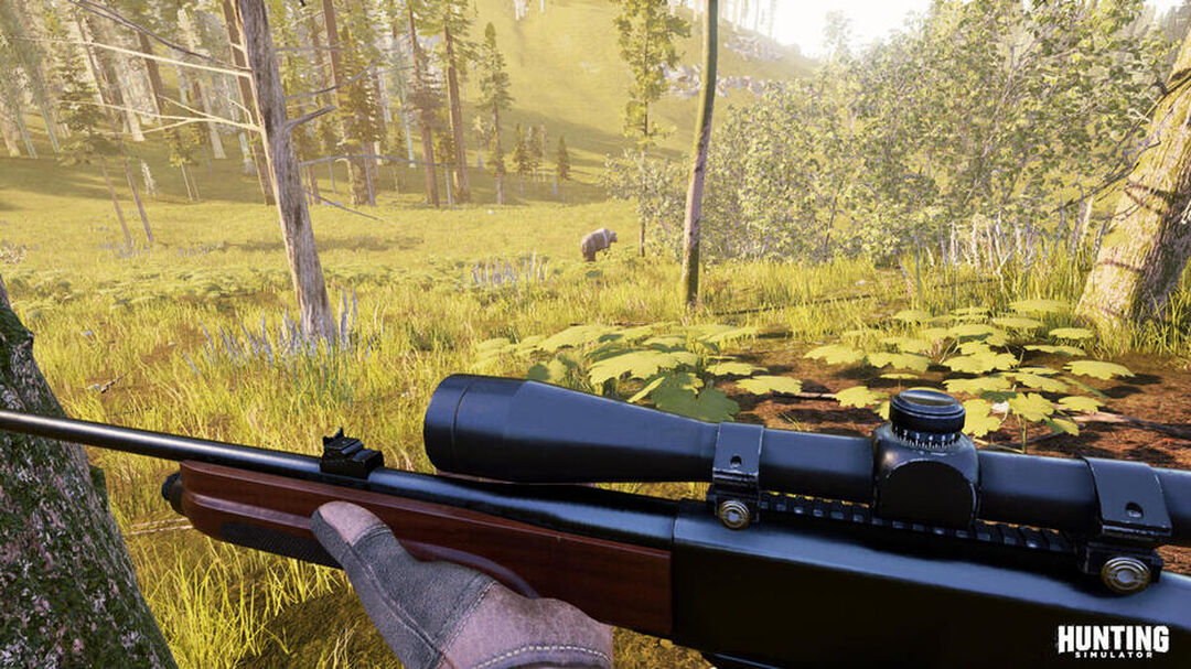 Hunting Simulator | Occasion