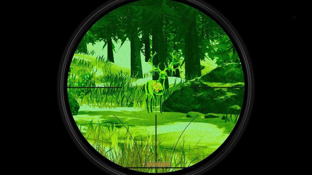 Deer Hunter Reloaded | Occasion