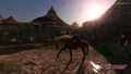 Mount & Blade II Bannerlord | Occasion thumb 11