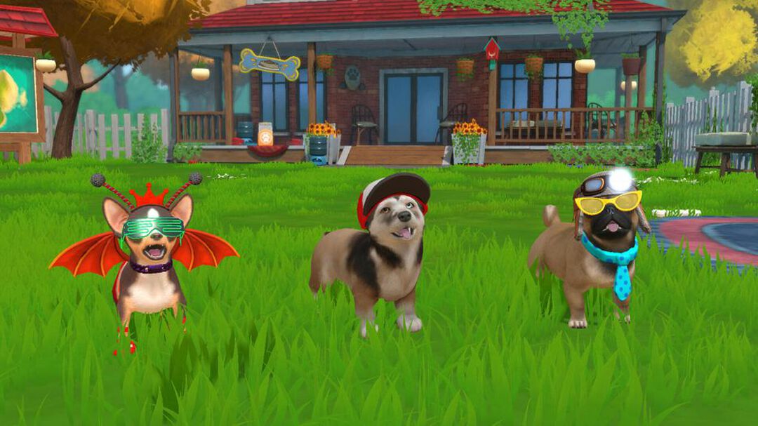 Little Friends Puppy Island | Occasion