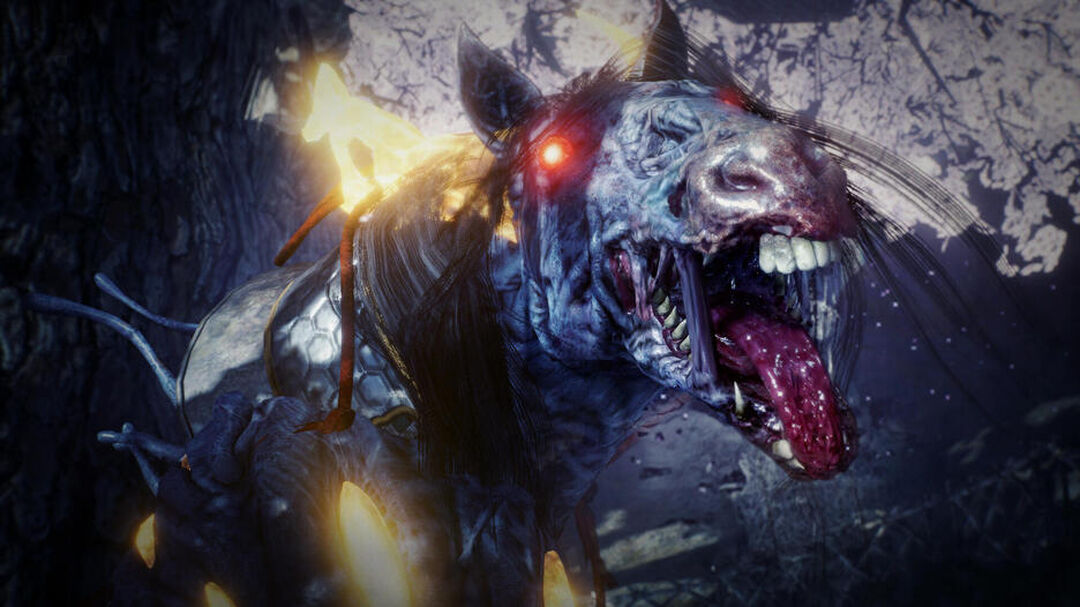 Nioh 2 | Occasion