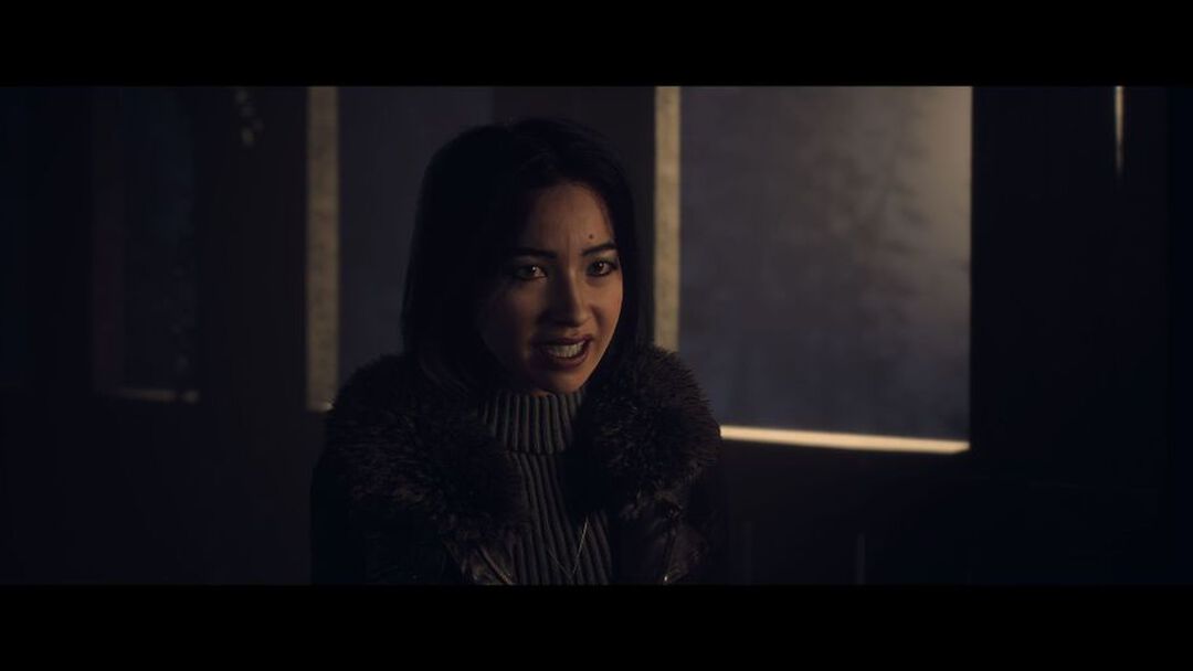 Until Dawn | Occasion