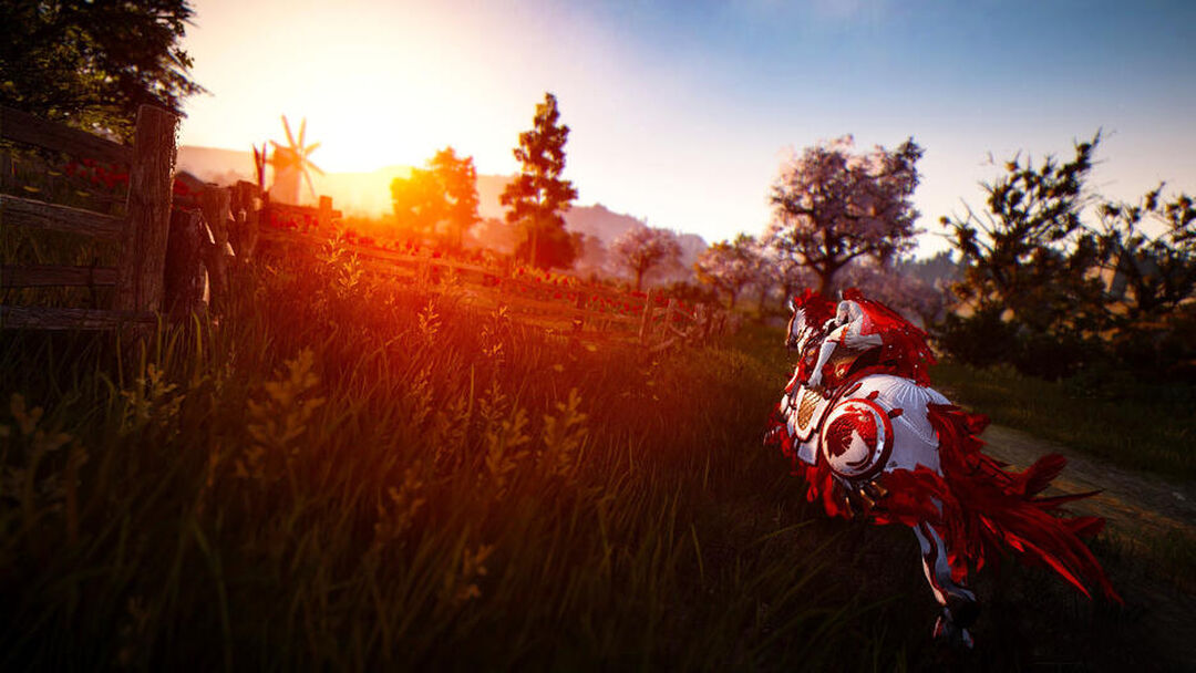 Black Desert Prestige Edition | Occasion