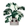 Figurine Funko Pop! Plants Jumbo - Funko - Flora Monstera