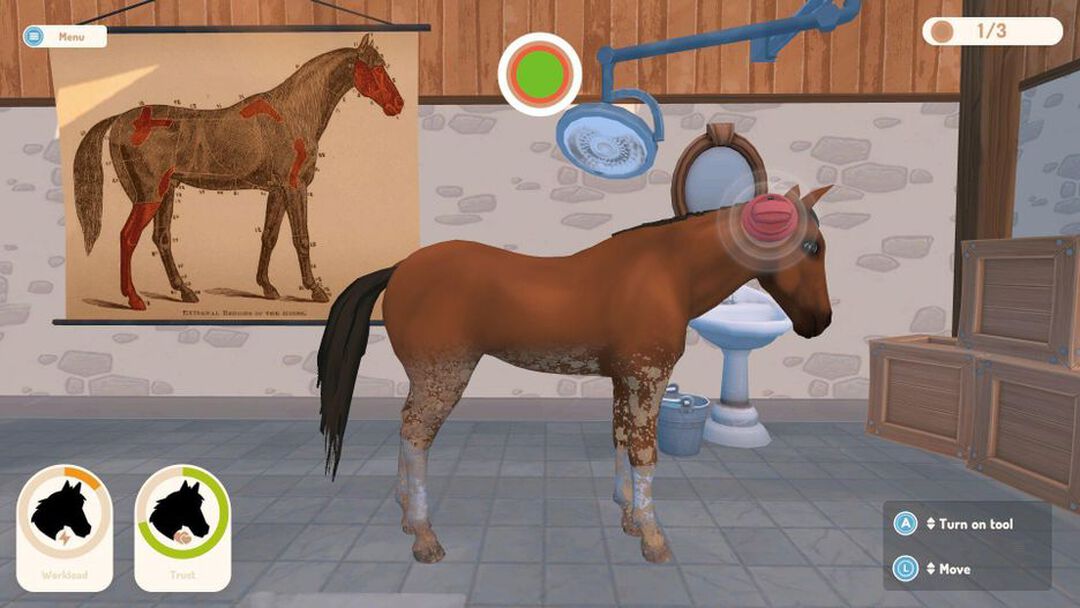 Ma Vie Avec Mes Chevaux 3